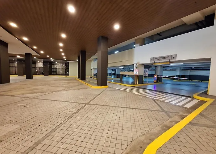 Big 1br Balcony -60sqm-pet -parking -moa,picc,ccp,wtc Apartment
